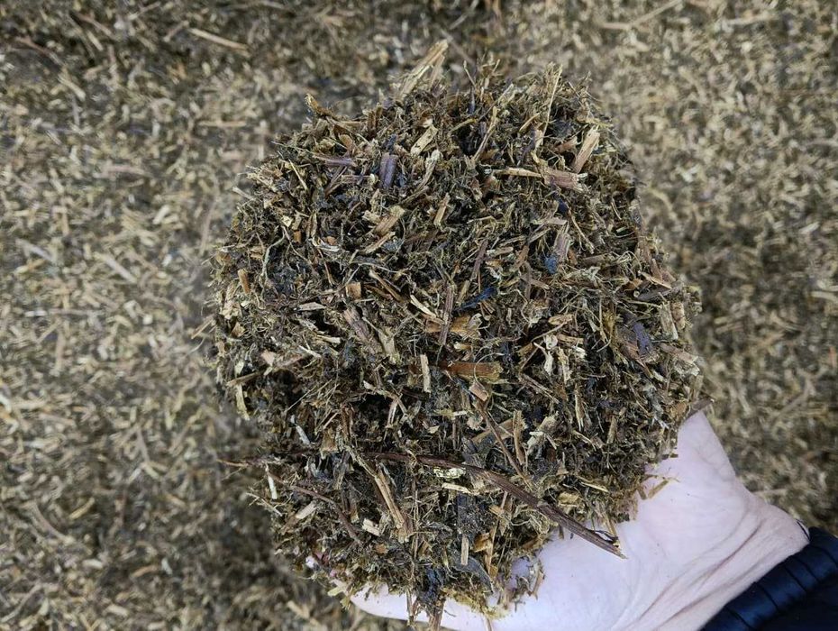 Сенаж люцерны продаем