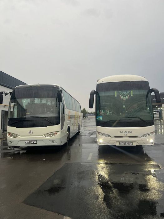 Golden Dragon Avtobus