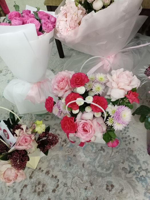 Продам цветы дешево