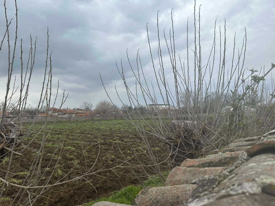 Продава се Къща в с. Гранит, Област Стара Загора - 160 кв.м за 121 €/кв.м - Снимка #4