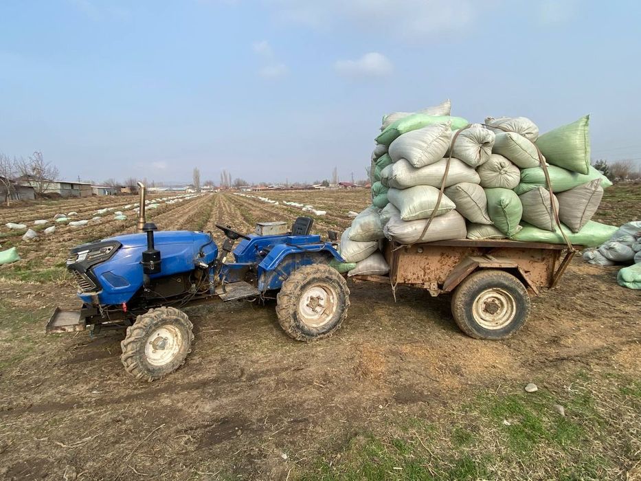 Зубр мототрактор 11.25