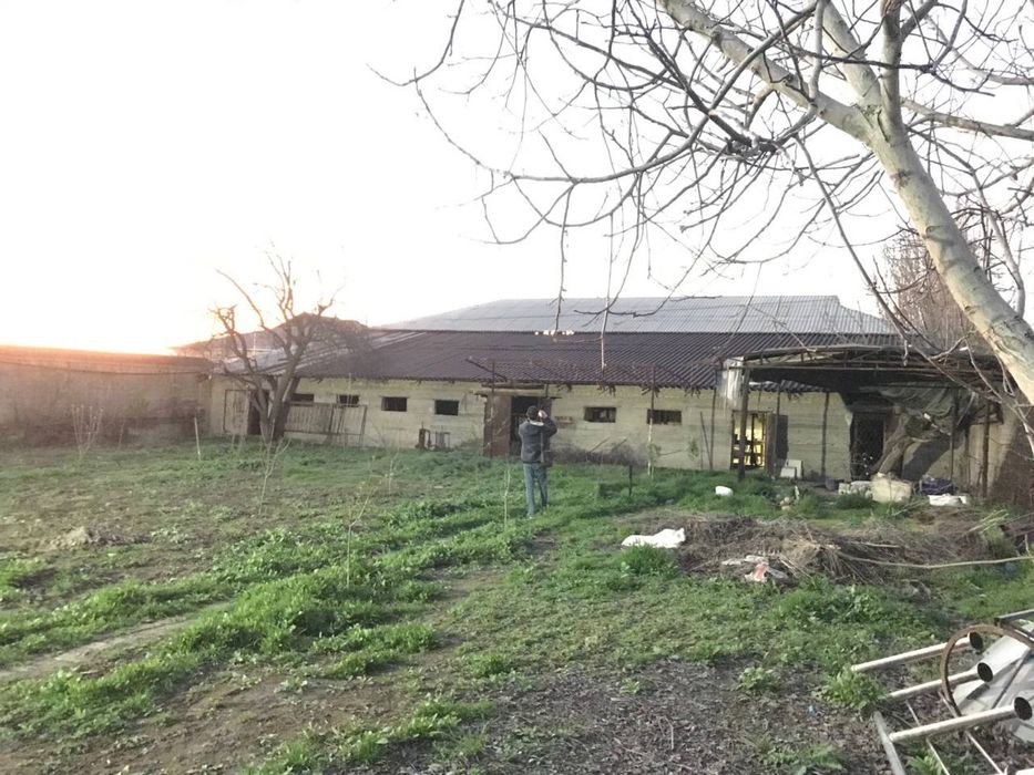 Участок Бордонкуль