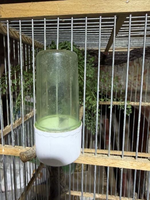 Кафез за птици канарчета