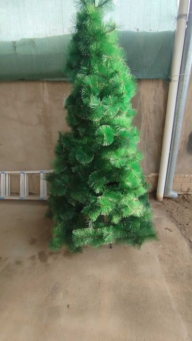 Ёлки сотилади 200 000 Минг сом