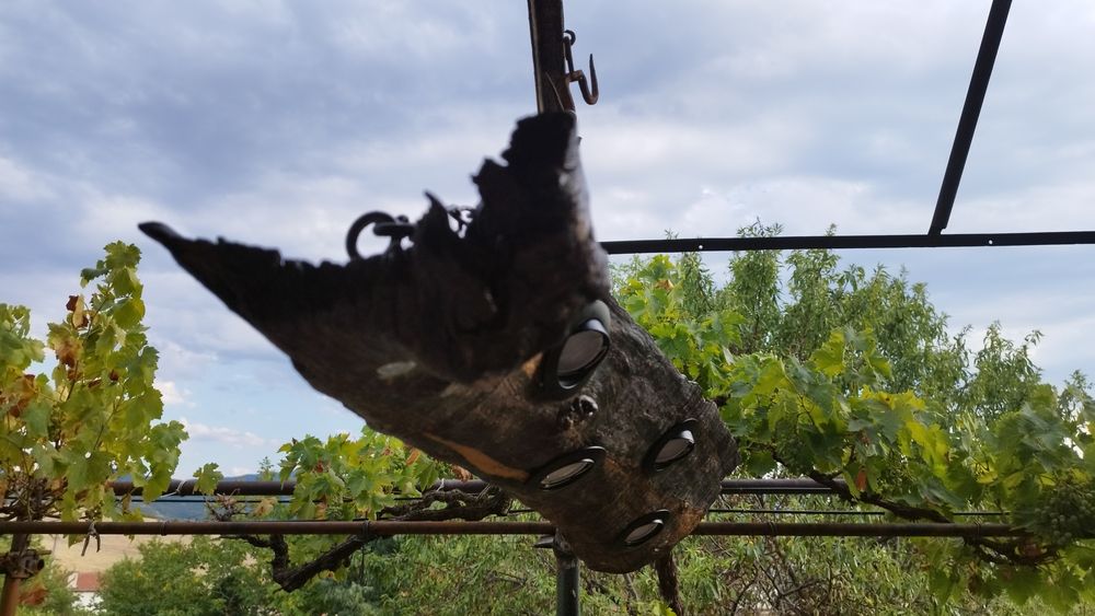 Авторски Полилей