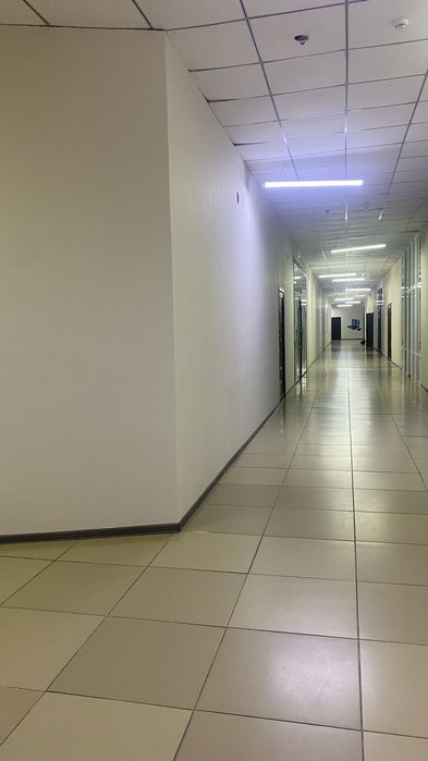 Малярные работы   Побелка покраска стен и потолков