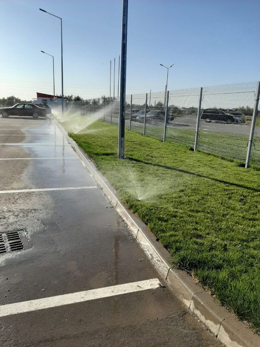 газон рулонный и семена , автопалив