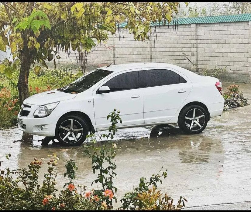 Arenda suxoy kunlik ijara avto prokat