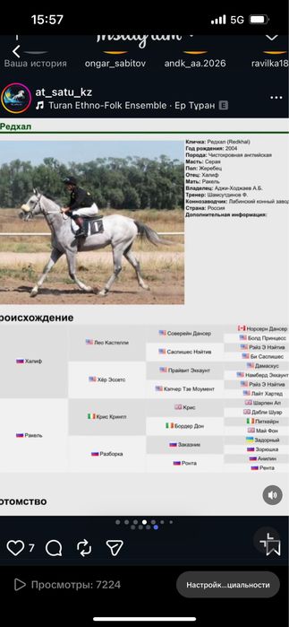 Таза канды тай сатылады!!!