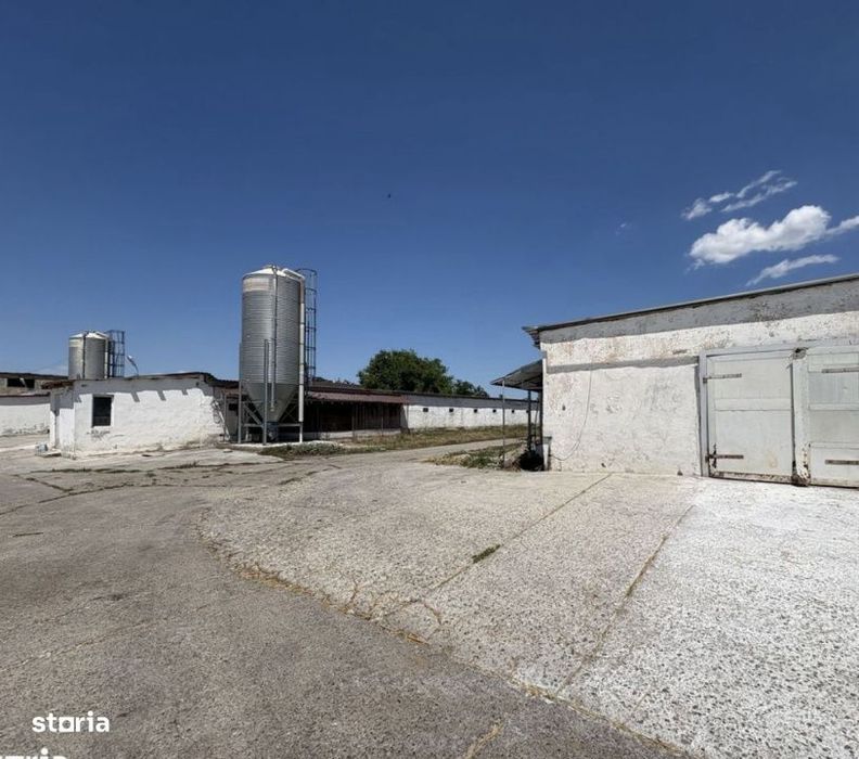 Teren intravilan 26395 mp (fosta Ferma Avicola), Zona Simnicu de Sus