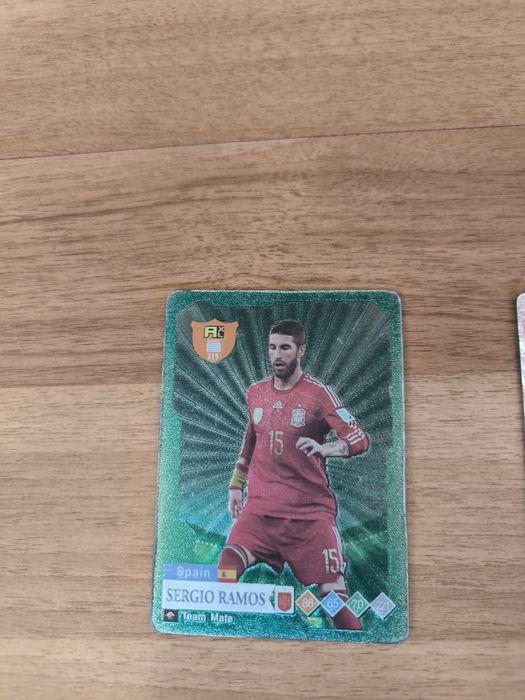 Пакемон кеткалари