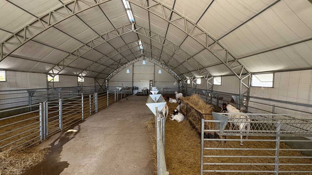 Продава се Парцел в с. Пробуда, Област Търговище - 38000 кв.м за 60 €/кв.м - Снимка #9