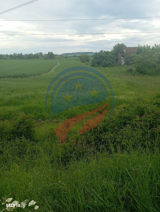 Teren 7140 mp de vanzare Murgasi - Oportunitate  investiție