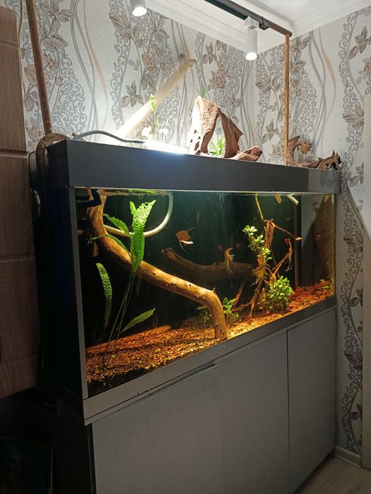 Аквариум в сборе