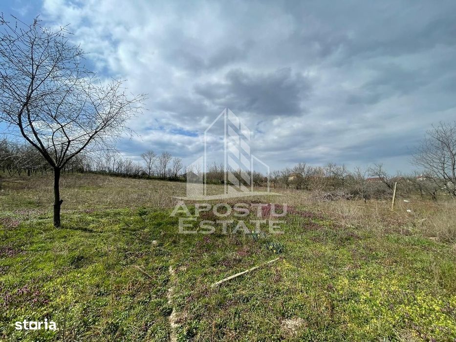 Teren intravilan pentru investitie, 2896 mp, Herneacova Timis