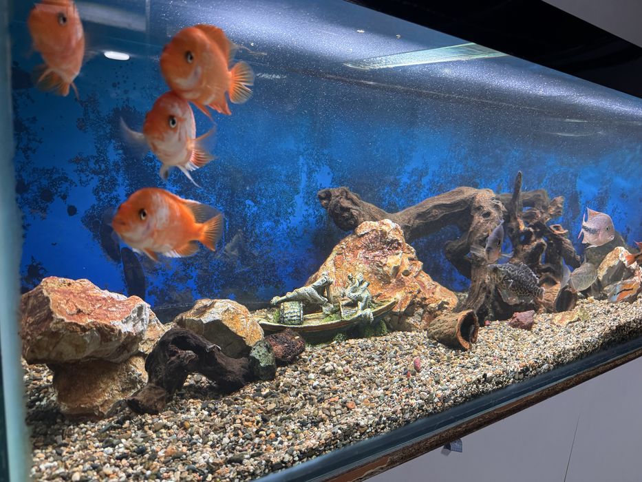 Продаем Аквариум