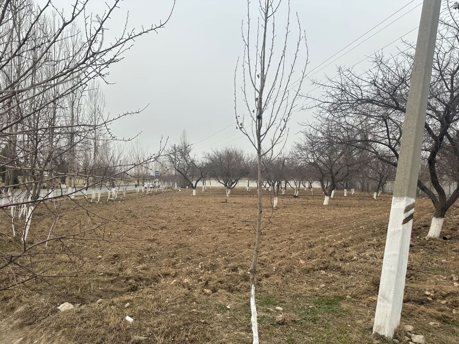 16 сотых ер зудлик билан сотилади