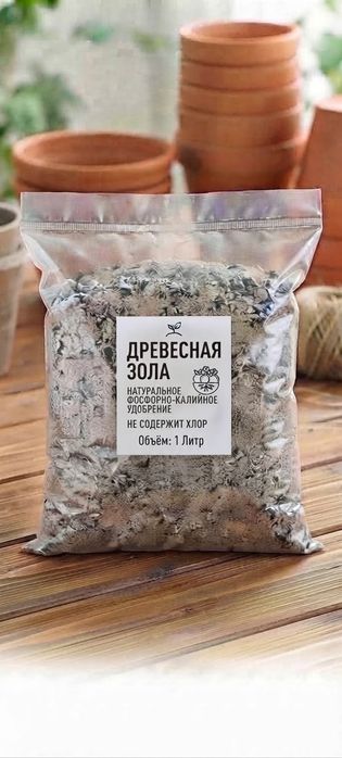 Продам саженцы Ежемалины