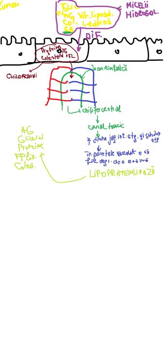 Meditatii biologie admitere Medicina Bucuresti/ Brasov