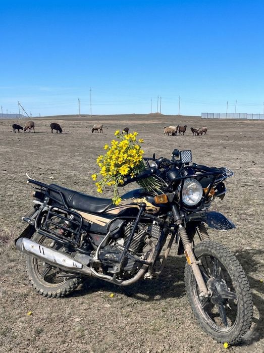 GSX-suzuki 200куб
