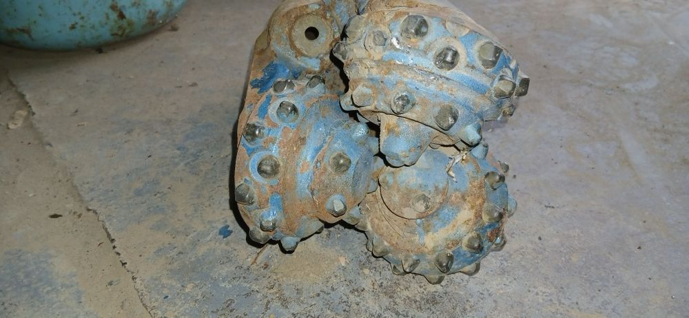 Долото боровое..