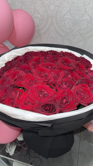 51 шт красные розы