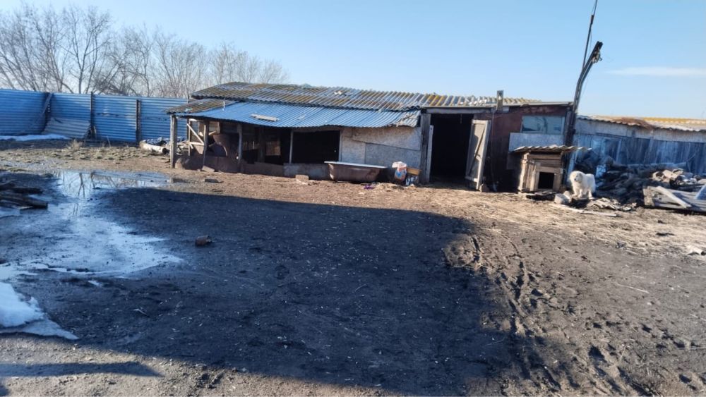 Продам дом в селе Токуши