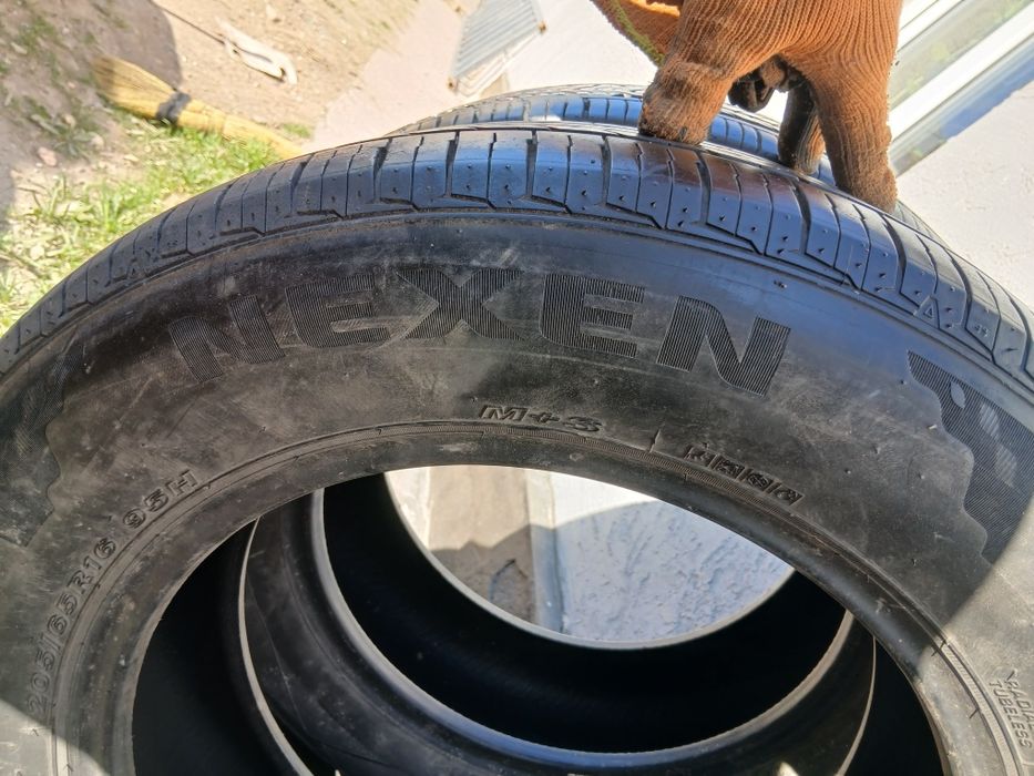 16 камплект Нексен