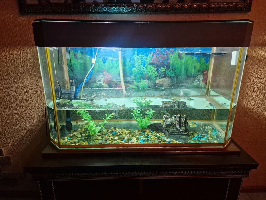 Аквариум 200л  с тумбой и рыбками