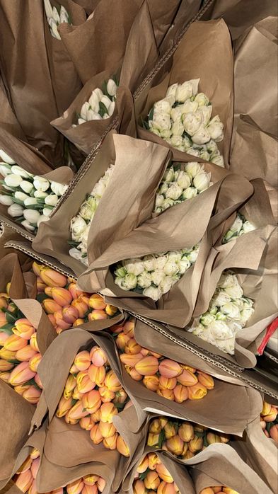 тюлпаны в наличий оптом 370тг