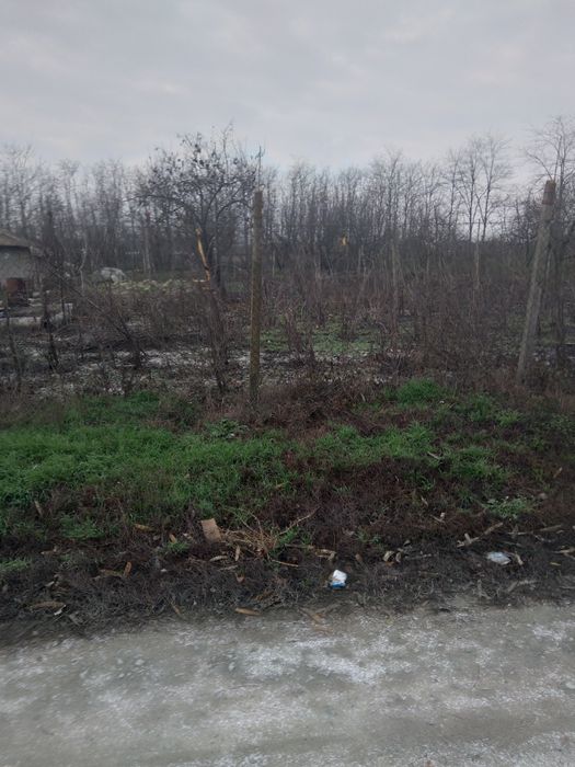 Teren sat Rasa;com Gradistea