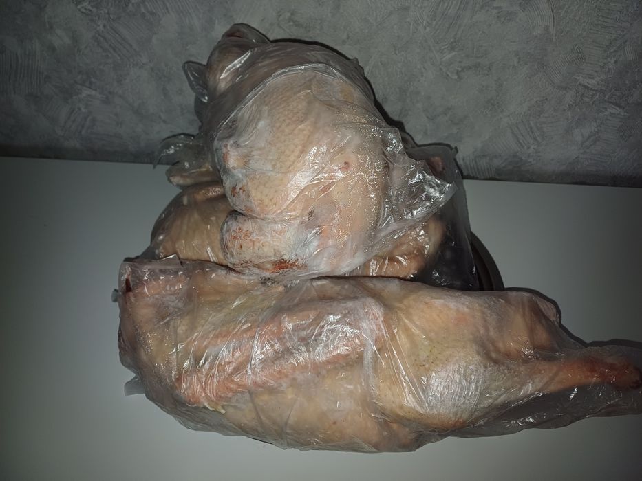 Мясо домашних гусей