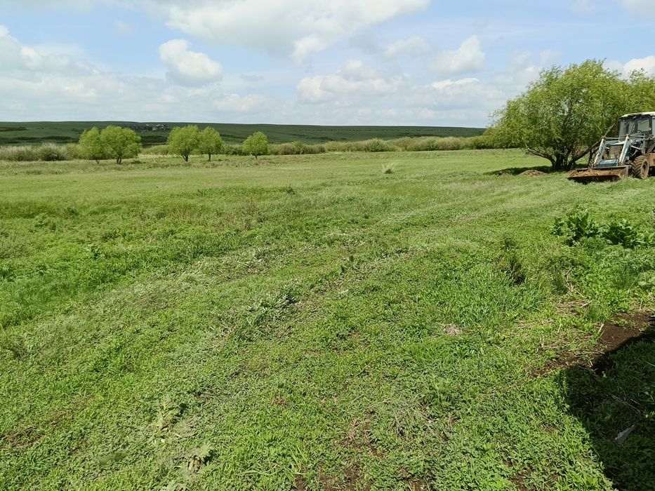 Крестьянское хозяйство