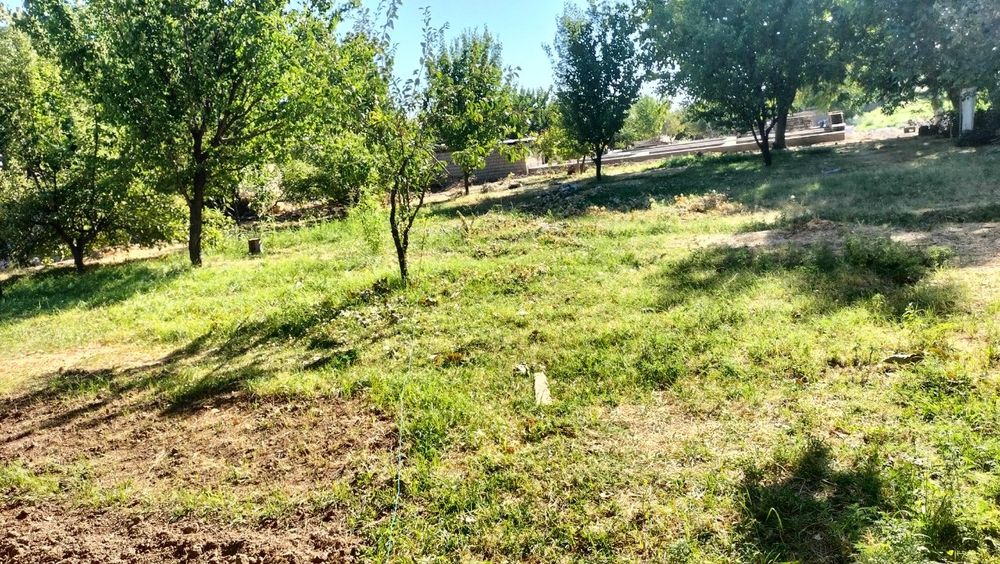 Yer maydoni sotiladi