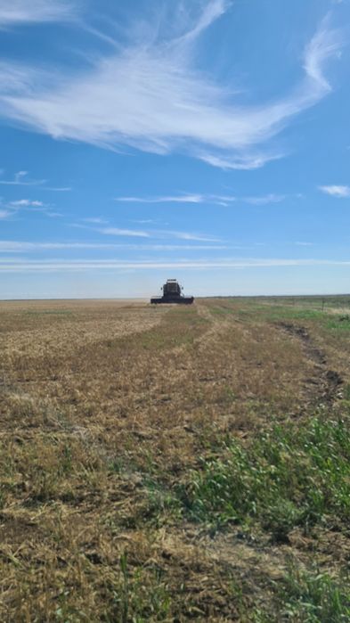 Енесей комбайн уборочный