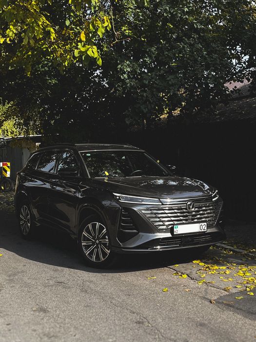 Личный водитель со знанием английского языка (Private Driver & Assist)