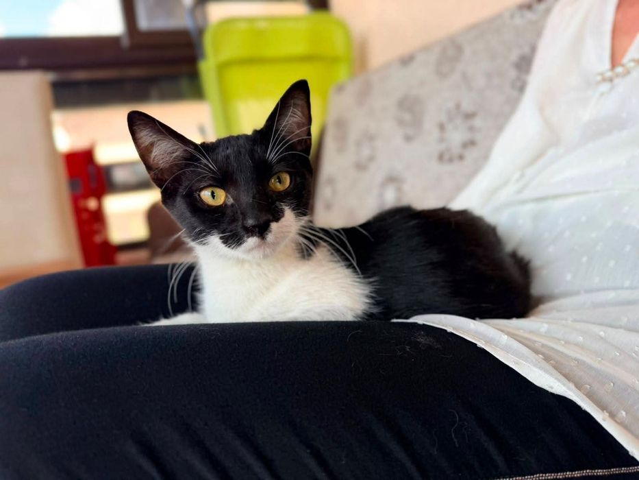 Puiuta superbaaa pentru adoptie