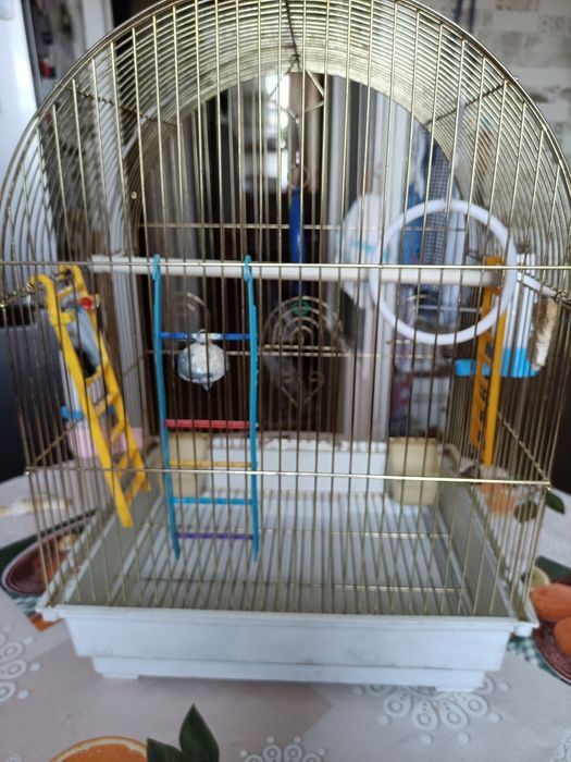 Клетка для попугаев