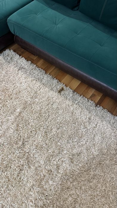 Килим дълъг косъм Clara Vidal