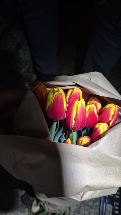 ТЮЛЬПАНЫ По оптовым ценам