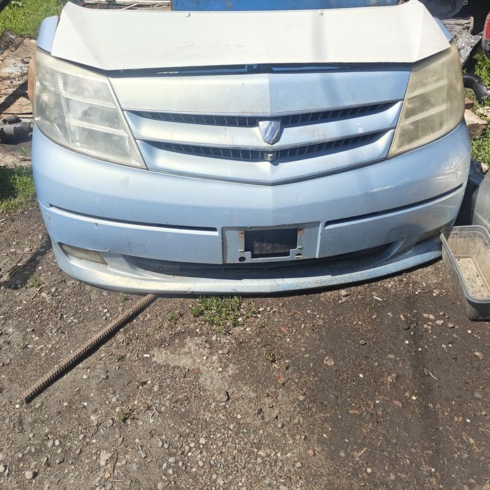 ноускат морда Toyota alphard