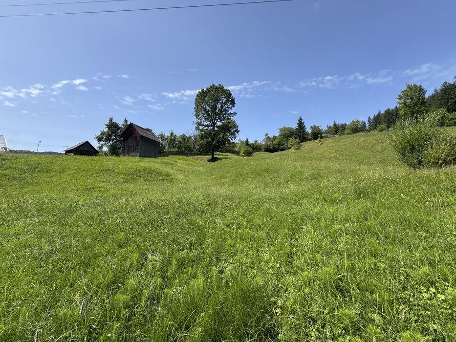 Tren de vanzare - Campulung Moldovenesc