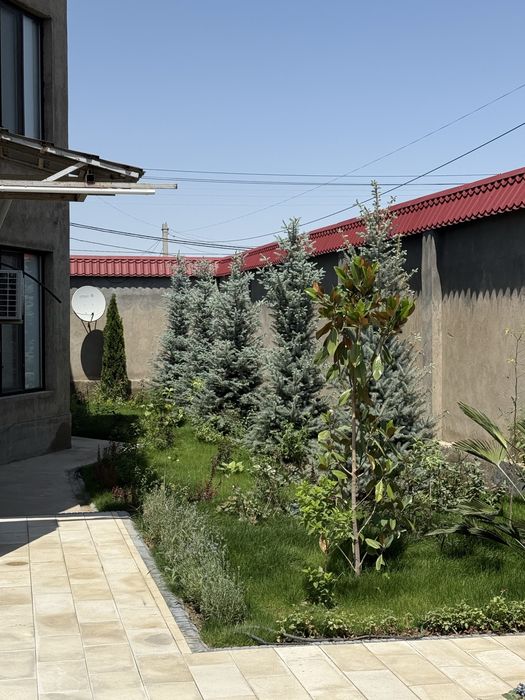 Газон газон газон