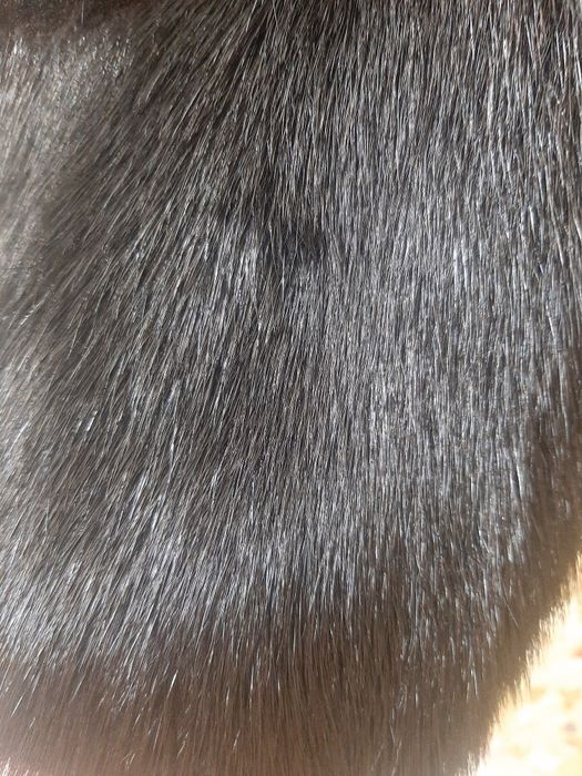 Продам шубу норковую