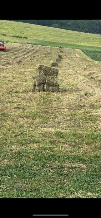 Vand baloti de lucerna si fan