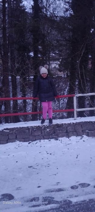 Каруца  лът форма