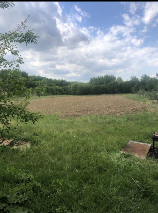 Casă individuală P+M cu teren de 4.800 mp, livadă și anexe – Corbeanca, comuna Vânătorii Mici, jud. Giurgiu