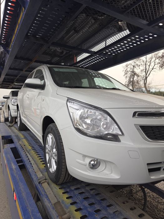 **Cobalt style msm 2026 masla