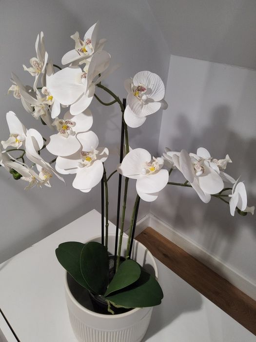 Орхидея с кашпа / изкуствена
