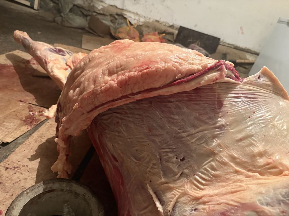 Донежин Байтал даланын